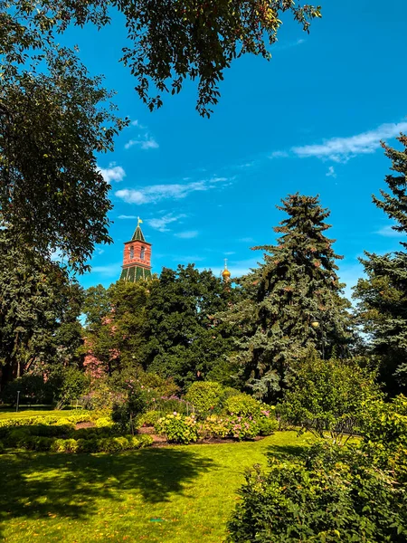 Färgglada Blommor Moskva Kreml Trädgårdar Moskva Ryssland — Stockfoto