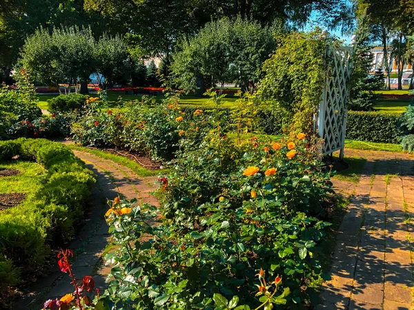 Färgglada Blommor Moskva Kreml Trädgårdar Moskva Ryssland — Stockfoto