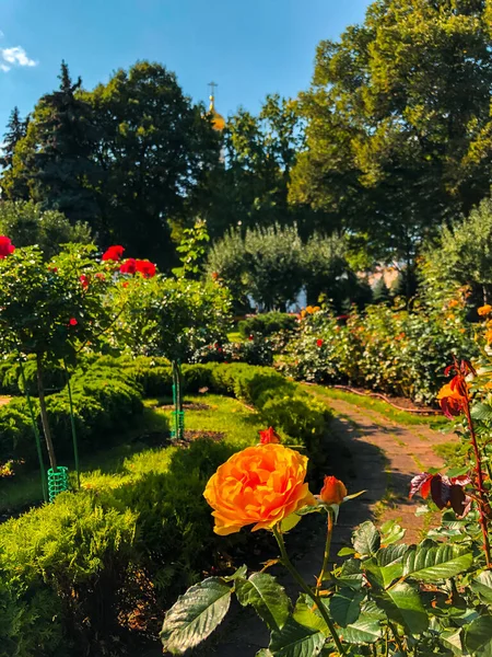 Flores Coloridas Jardins Kremlin Moscou Moscou Rússia — Fotografia de Stock