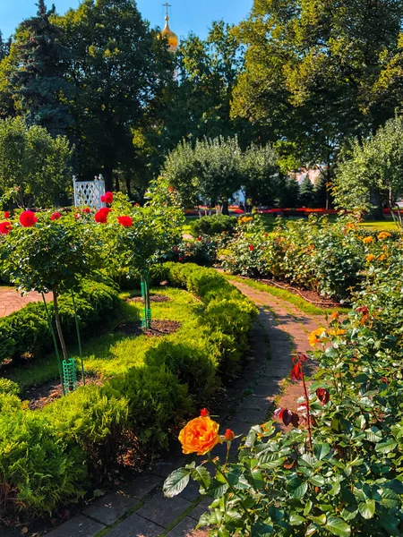 Färgglada Blommor Moskva Kreml Trädgårdar Moskva Ryssland — Stockfoto