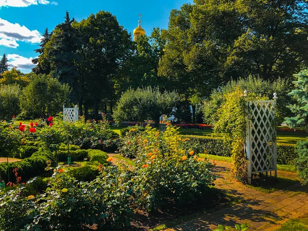 Färgglada Blommor Moskva Kreml Trädgårdar Moskva Ryssland — Stockfoto