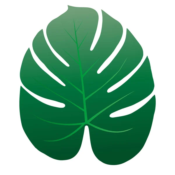 Liść tropikalnego drzewa — Wektor stockowy