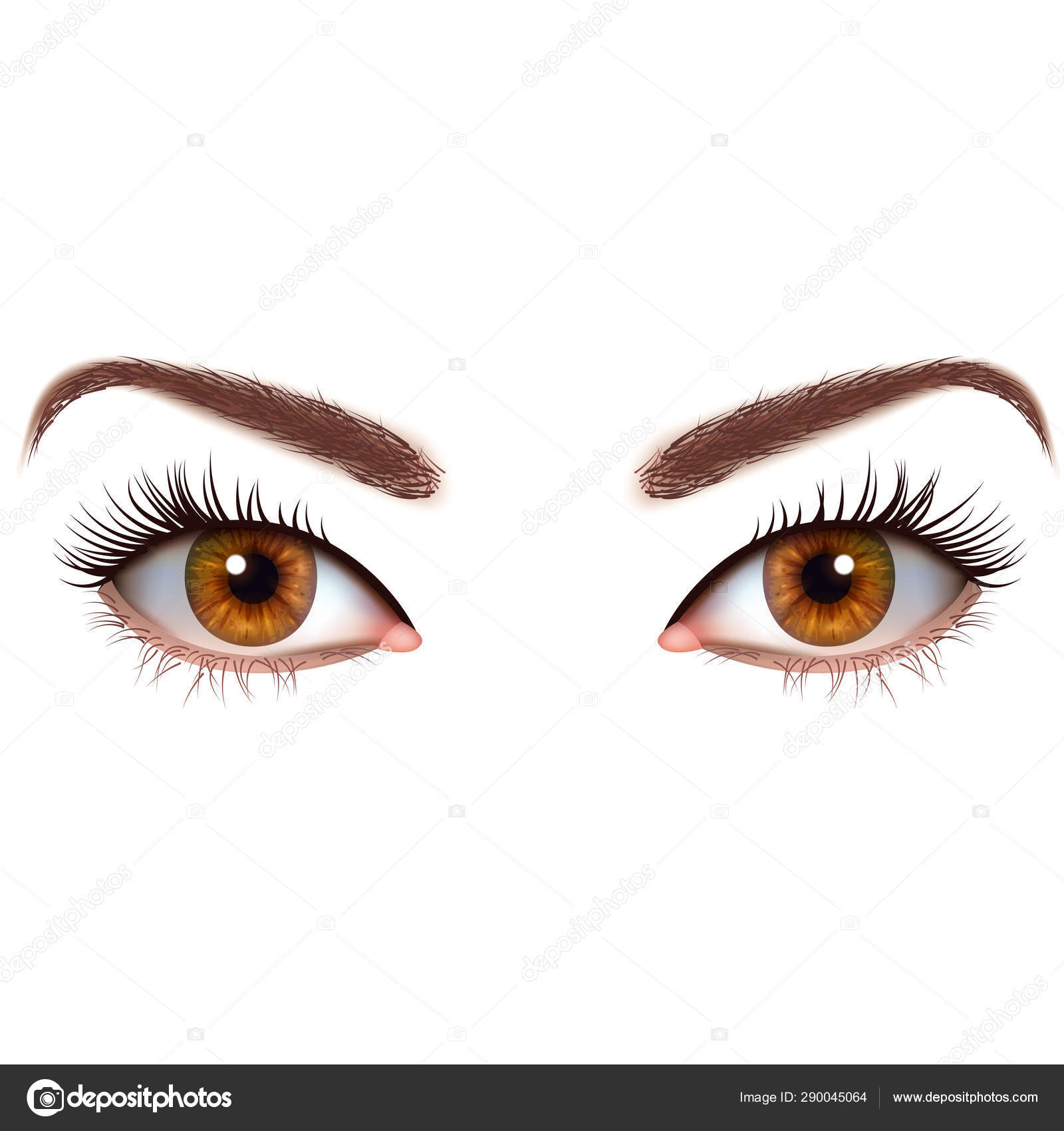 Realistic brown eyes with eyelashes and eyebrows Stock Vector Image by