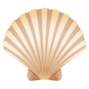 Beyaz arka plan üzerinde inci için altın kapalı kabuk