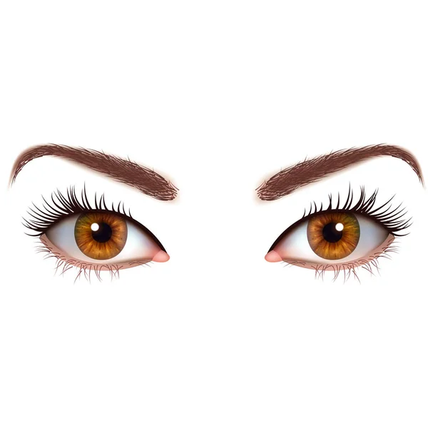 Avellana ojos marrones imágenes de stock de arte vectorial | Depositphotos Avellana ojos marrones imágenes de stock de arte vectorial | Depositphotos