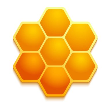 Beyaz arka planda gerçekçi bal tarak Vektör illüstrasyon