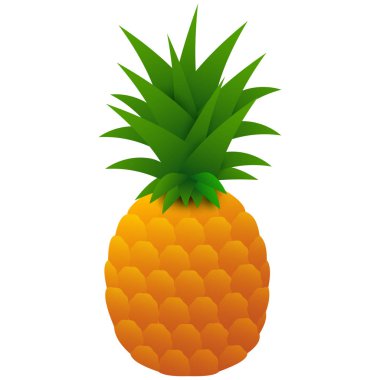 ananas beyaz arka plan üzerinde vektör çizim