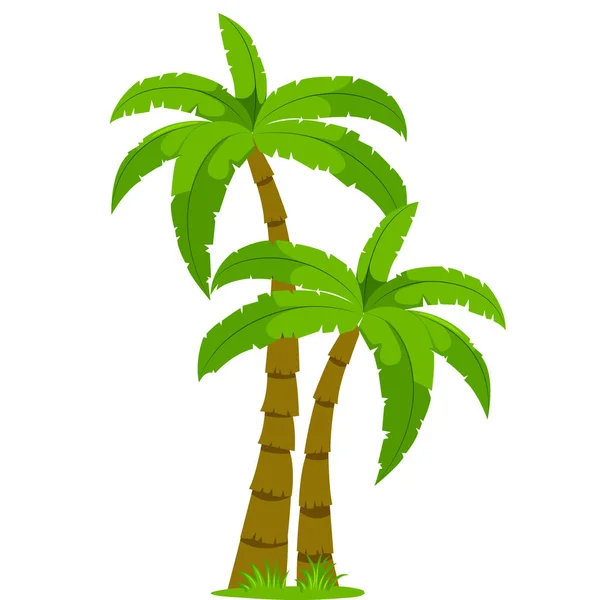 Alle palmbomen met gras op een witte achtergrond — Stockvector