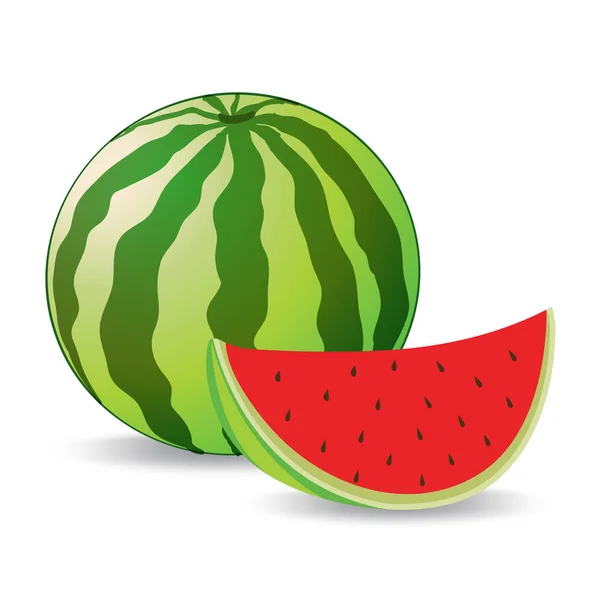 Ganze Wassermelone mit einem geschnittenen Stück und mit einem Schatten — Stockvektor