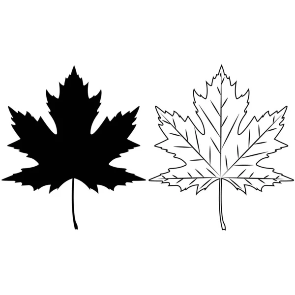 Maple Leaf zwart en wit op een witte achtergrond — Stockvector