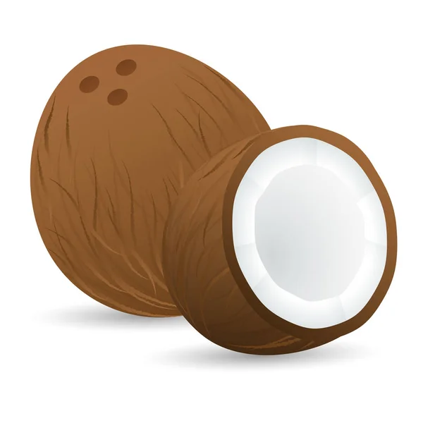 Реалистичный кокос с тенью на белом фоне — стоковый вектор