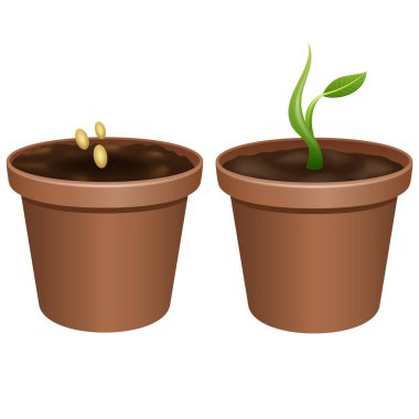 İki tencere: biri tahıllı, diğeri bitkili