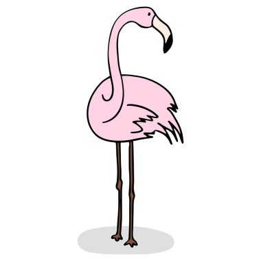 Bir gölge ile beyaz bir arka plan üzerinde Flamingo