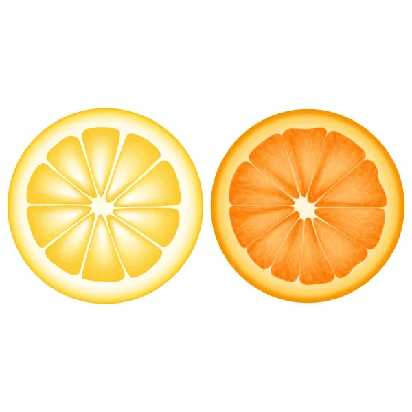 Une tranche de citron et d'orange sur fond blanc — Image vectorielle