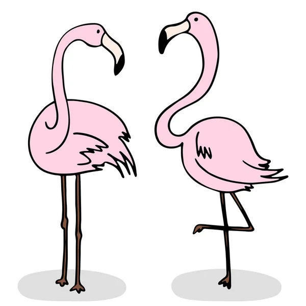 Zwei Flamingos stehen nebeneinander — Stockvektor