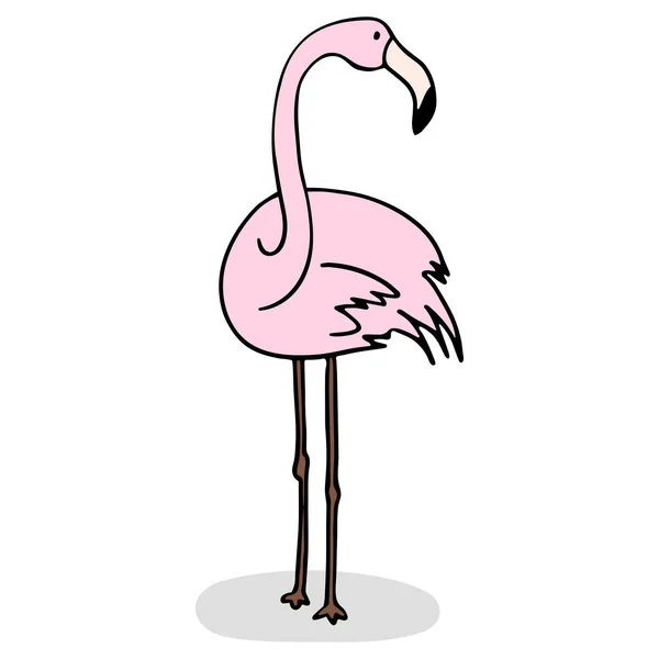 Flamingo auf weißem Hintergrund mit Schatten — Stockvektor