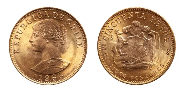Şili Altın Sikke Peso 1966 — Stok fotoğraf