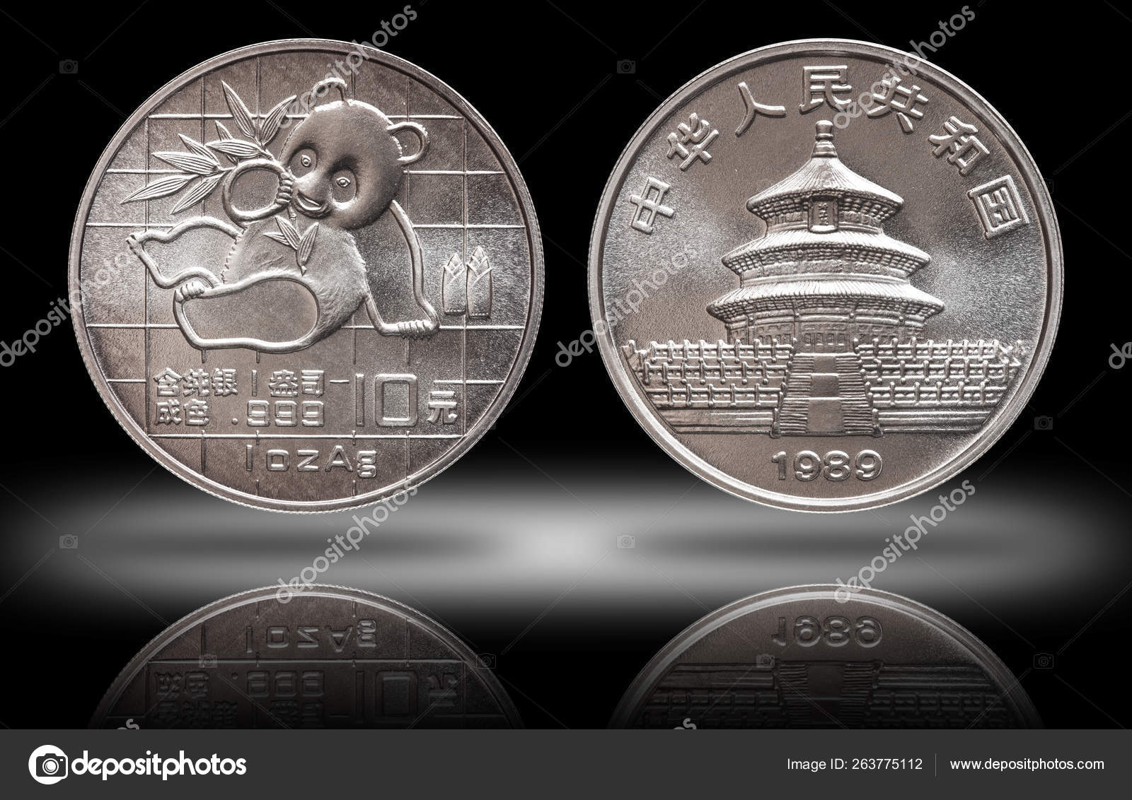 中国熊猫10元银币1盎司999精银盎司铸造1989年——图库图片© DoubleMatt #263775112