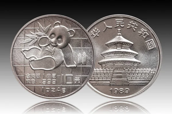 Čína Panda 10 10 Yuan stříbrná mince 1 oz 999 jemné stříbrné unce minované 1989, backgriound gradientu — Stock fotografie
