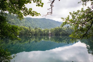 Gökyüzü ormanlar arasında göle yansıyor.
