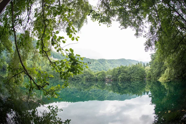 Небо відбивається в озері серед лісу — стокове фото