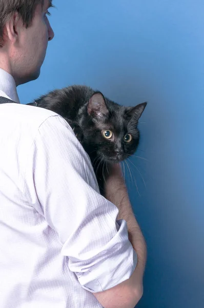 back view of man in shirt holding black funny cat on blue background