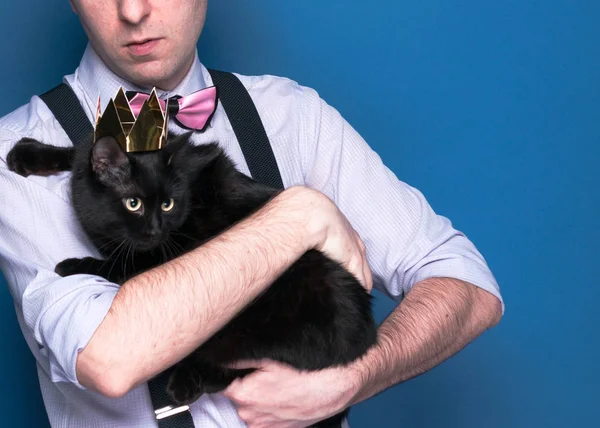 part of man in pink shirt, suspender and bow tie holding cute black cat in shiny golden crown on blue background with copy space