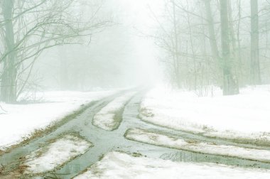 Ağaçların güzel manzarası ve yerde bir sürü kar, kışın parktaki gri gökyüzü