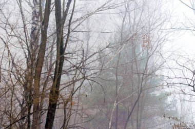 Ukrayna, Prypyat, Chornobyl yabancılaşma bölgesi - 31.03.2018: Terk edilmiş şehir Prypyat