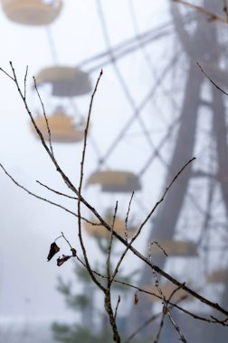 Paslı dönme dolabın seçici odak noktası ve sisli kış mevsiminde ağaçlar Pripyat, Çernobil yabancılaşma bölgesindeki terk edilmiş eğlence parkı