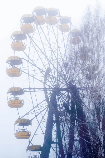 Selective Focus Rust Ferris Wheel Attraction Trees Foggy Winter Abandoned — Stock Photo, Image