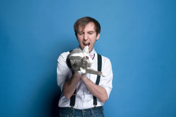 シャツとサスペンダーで男の周りをだますハンサムな柔らかい焦点は かわいい灰色と白の猫を保持し 青い背景に猫を食べようとしているかのように示しています — ストック写真
