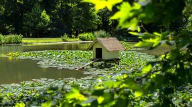 Bir gölet ördek evinde çerçeveli bir görünüm.