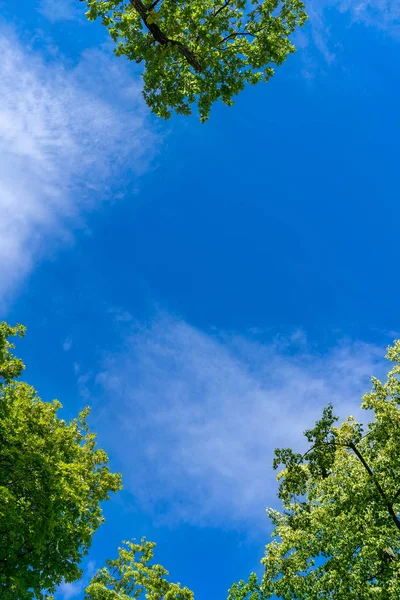 Ansicht himmel MIT leichten Wolekn en einer Lichtung am tag und Sonnenschein — Stockfoto