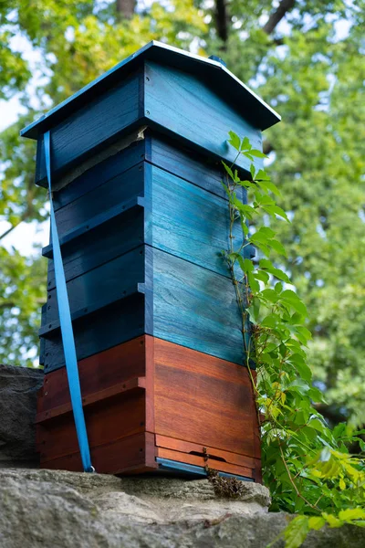 Una sola colmena con abejas activas . — Foto de Stock