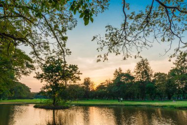 Şehir Parkı yeşil ağaç yapraklar göl günbatımı manzarasıyla