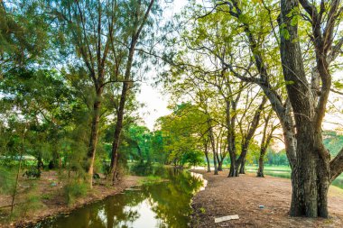 Şehir Parkı yeşil ağaç yapraklar göl günbatımı manzarasıyla