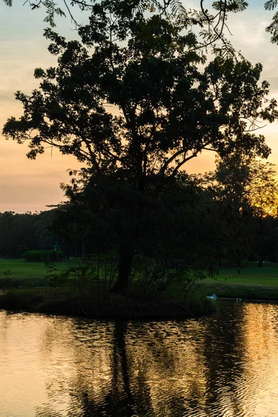 Şehir Parkı yeşil ağaç yapraklar göl günbatımı manzarasıyla