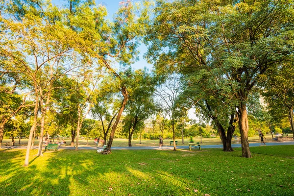 Központi Zöld Park Nyári Jelenet Természetvédelmi Táj — Stock Fotó