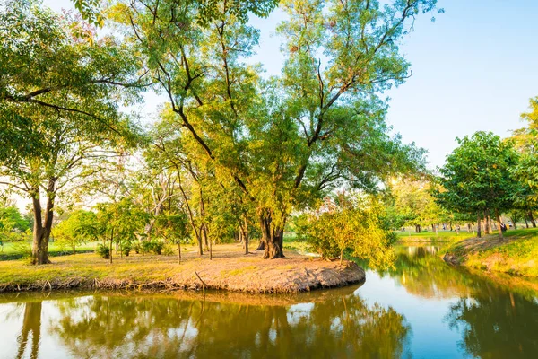 Merkezi yeşil park yaz sahne, Doğa park peyzaj
