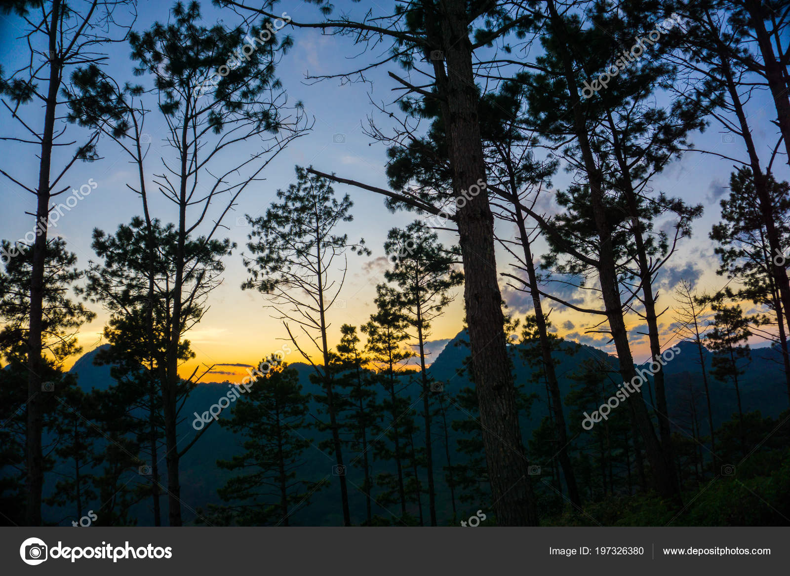 Silhouette Coucher Soleil Montagne Avec Pin Ciel Colore Paysage Nature Image Libre De Droit Par Benedixs C Silhouette Coucher Soleil Montagne Avec Pin Ciel Colore Paysage Nature Image Libre De Droit Par Benedixs C