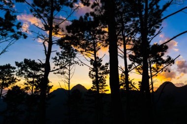 Siluet dağ günbatımı çam ağacı renkli gökyüzü doğa manzara ile