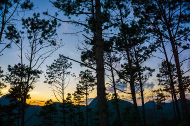 Siluet dağ günbatımı çam ağacı renkli gökyüzü doğa manzara ile