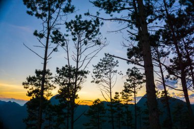 Siluet dağ günbatımı çam ağacı renkli gökyüzü doğa manzara ile