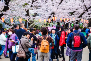 Tokyo, Japonya - 6 Nisan 2017: Kalabalıklar içinde yürüyerek bahar kiraz çiçekleri zevk mevsimsel Ueno Park.