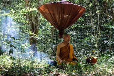 Buda keşiş derin orman spiritul ve huzurlu maditation olun