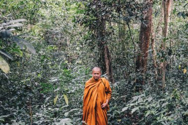 Yalnız Buda keşiş meditasyon derin orman inanç kavramı
