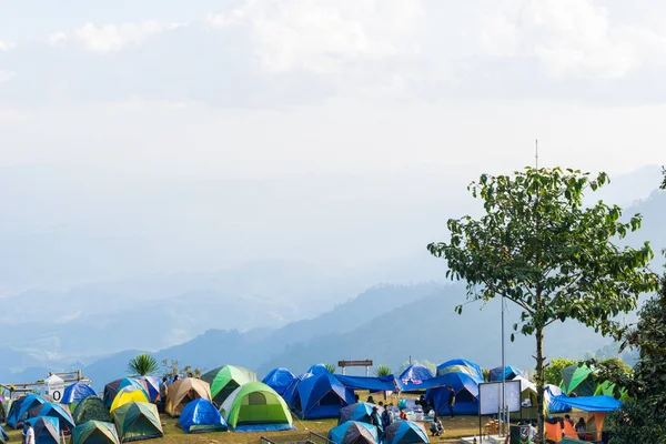 Camping Tent Pine Forest High Mountain Hiking Recreation — Stock Photo, Image