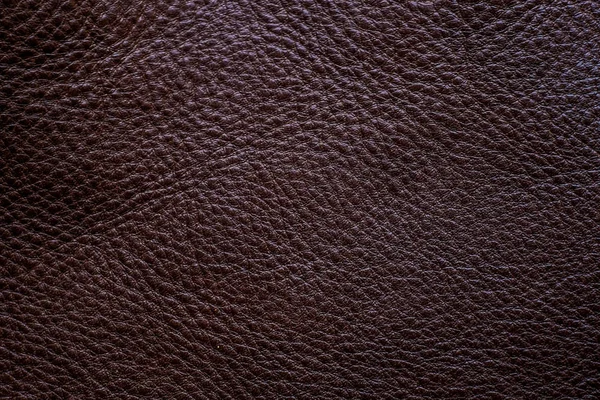 นหล งหน งเต มเมล าตาลแท — ภาพถ่ายสต็อก