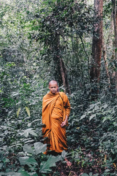 Alone buddha monk meditation in deep forest faith concept